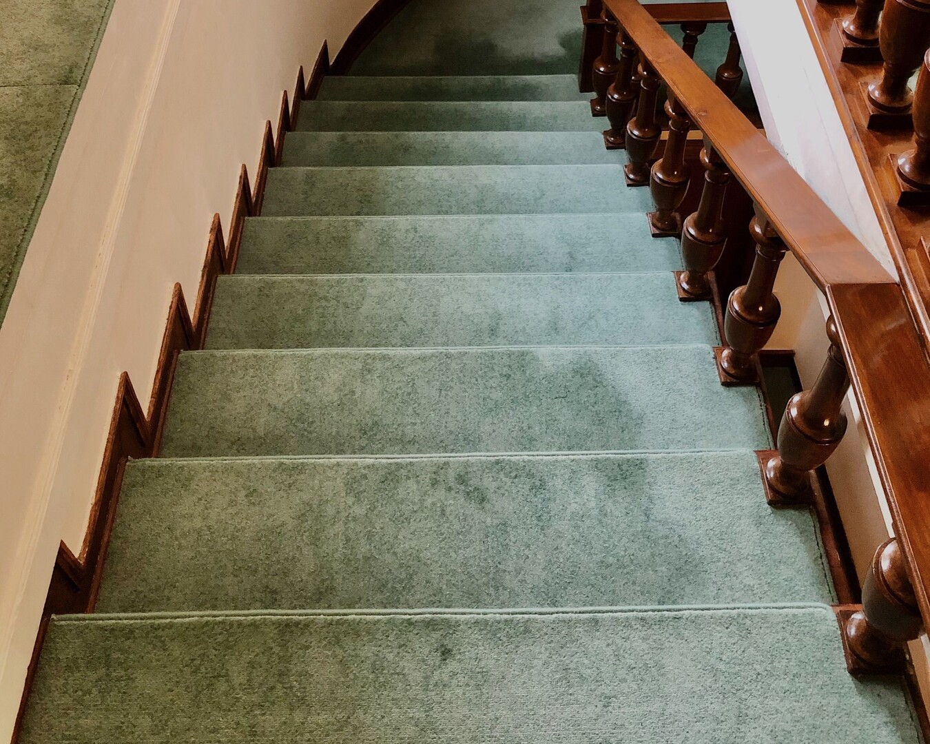 Polypropylene Carpet perfect for stairs